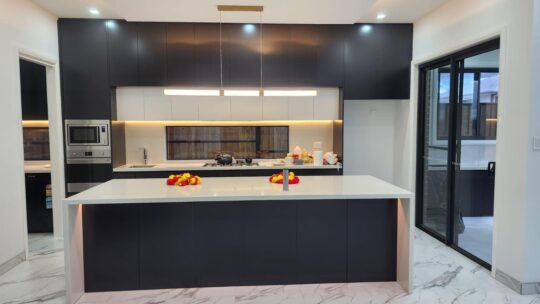 WhatsApp Image 2026-03-11 at 1.24.41 PM